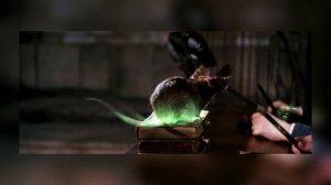 Хогвартс - плохая школа? Качество магического образования в Хогвартсе