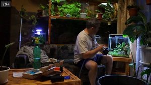 ПРОТОКОККУС в аквариуме смотрим НИТРАТ ФОСФАТ