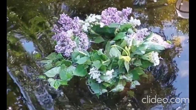 На Троицын день