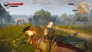 The Witcher 3: Wild Hunt часть 15 моменты игры на Русском (PS4)