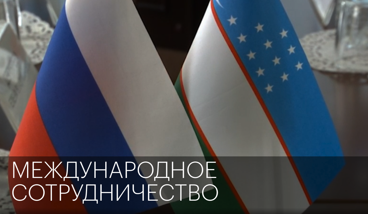 Международное сотрудничество | Сюжет