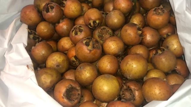 НАШЛА В БЕЛЬГИИ МУШМУЛУ КАВКАЗСКУЮ ВКУС МОЕГО ДЕТСТВА смотреть онлайн