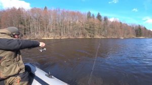 Приманка ловит сама. Ловля сома на джиг. Весенняя рыбалка 2019