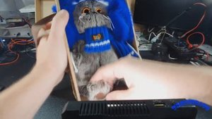 Кот басик распаковка обзор. Отличный подарок к новому году