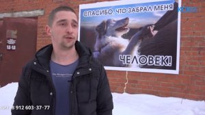 В Красноуфимске появился приют собаки ждут своих хозяев