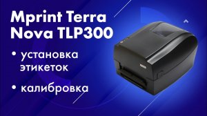 Установка этикеток в принтер Mprint Terra Nova TLP300 и калибровка носителя