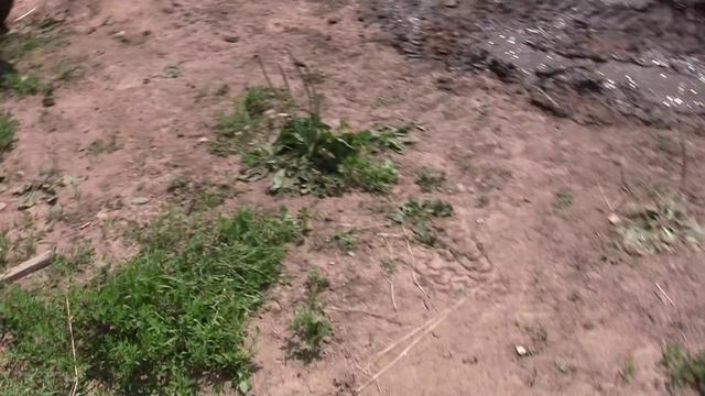 Rexton-club (RX270XVT) смотреть онлайн