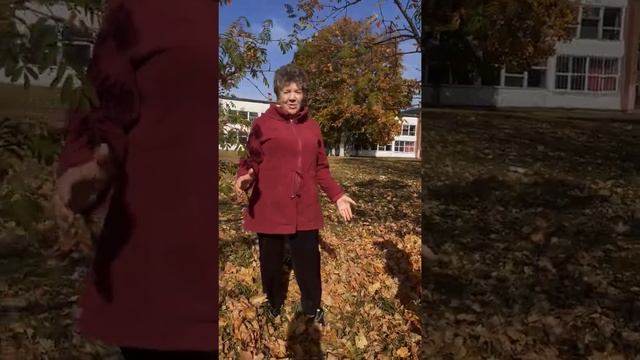 Стих про осень смотреть онлайн