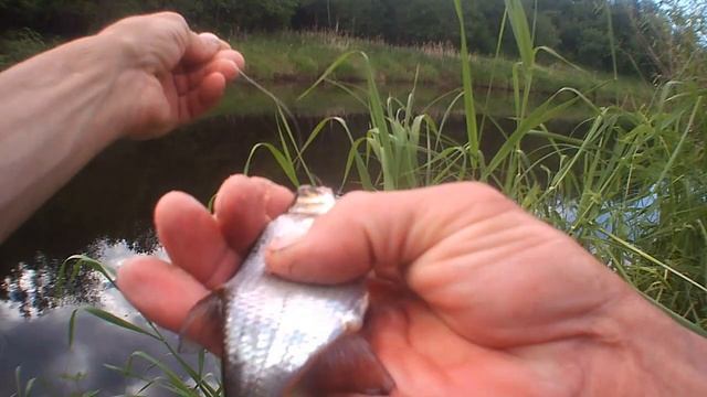 Хорошая рыбалка, на поплавочную удочку в начале июня! смотреть онлайн