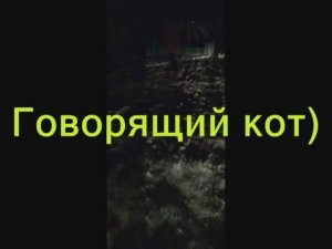 Говорящий кот