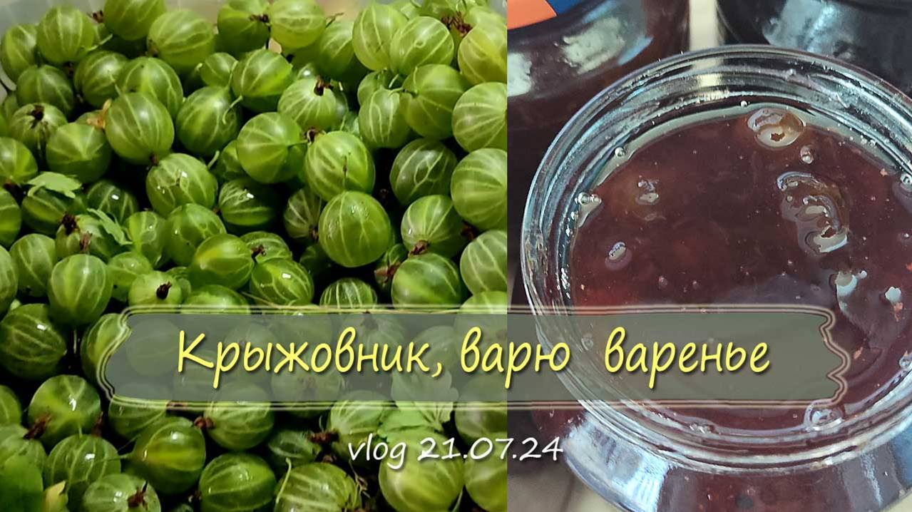 Урожай крыжовника, варенье из крыжовника | Vlog Дача как есть 21.07.2024