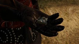 Ведьмак 3: Дикая Охота / Ведьмак школы кота (Скрытый Квест)