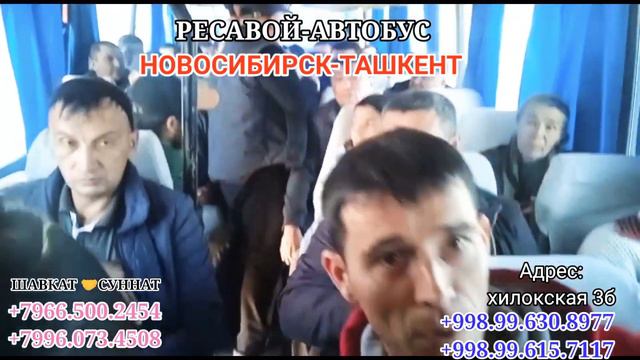 НОВОСИБИРСК ↔️ ТАШКЕНТ АВТОБУС ХИЗМАТИ АРЗОН НАРХЛАРДА 09.10.2022 смотреть онлайн