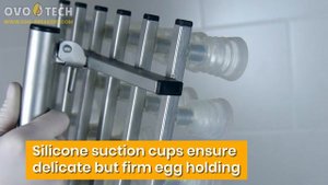 Вакуумный перекладчик яиц VEL-30