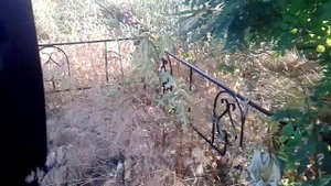Как бороться с травой на кладбище?