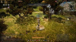 Ресурсы Black Desert - Камень