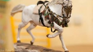 МНТ Амуниция, часть 1.