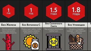 Сколько Ты Проживешь Без ___?