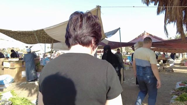 Белые по такому Египту не ездят!!! Сумасшедший Египет!!! Дорога Асуан-Луксор. смотреть онлайн