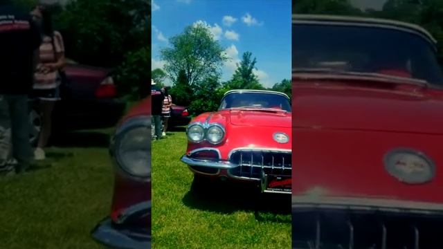 First Gen Corvette's