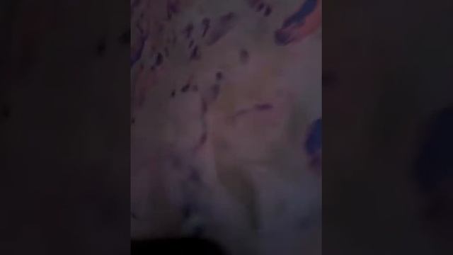 Венецианская штукатурка вгт