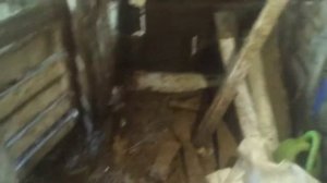 Бизнес на птице, купил 100 кур несушек!!!