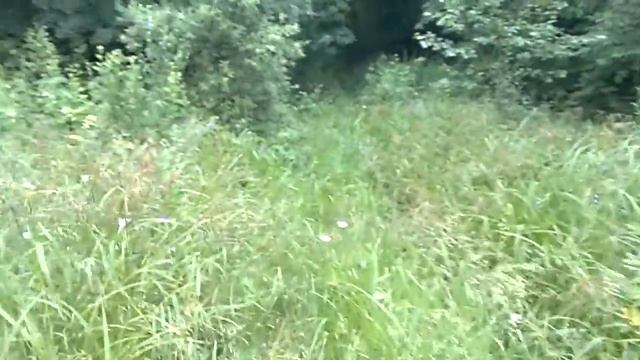 Самая высокая точка Владимирской области - на пути к вершине 271 метр - 17 ч. из 22 смотреть онлайн