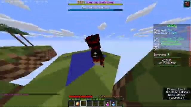 SONIC AND METAL SONIC PLAYS MINECRAFT X-RUN FT:SHADOW!!! смотреть онлайн