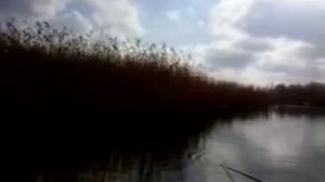 Кардашинский лиман - рыбалка в Херсонской области