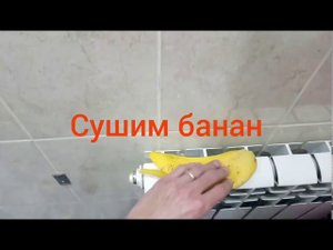 Как поймать улиток катушек из аквариума