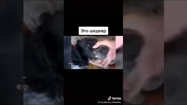 сом бади вон # смотреть онлайн