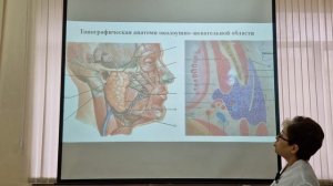 Топографическая анатомия околоушно-жевательный области