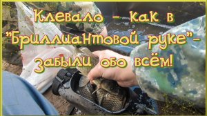 Клевало - как в "Бриллиантовой руке" - забыли обо всём!