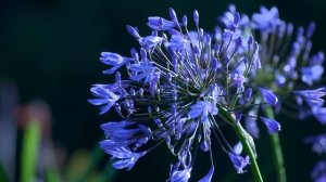 кошелек украли во сне