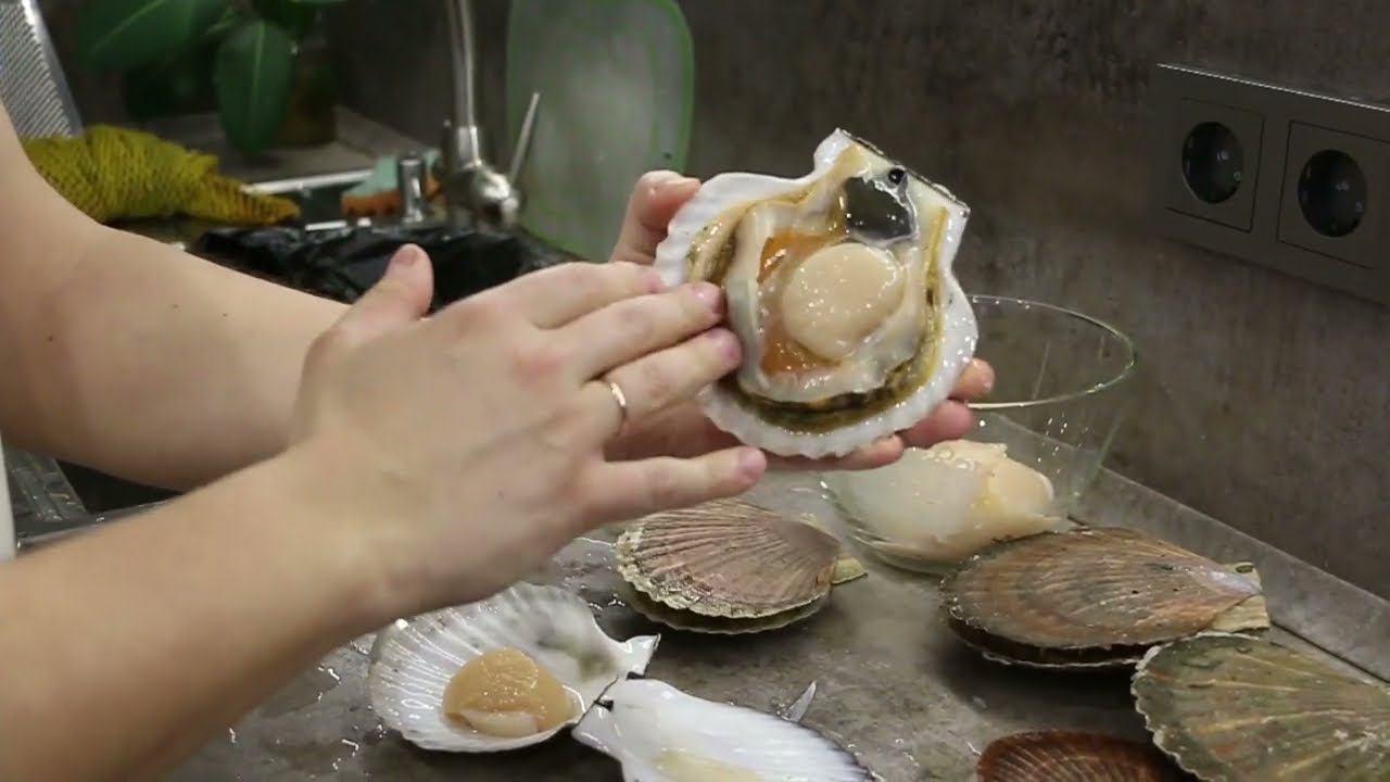 Морской Гребешок. КАК ЕСТЬ? SEAFOOD смотреть онлайн
