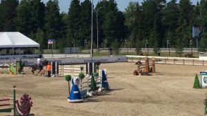 Леголас Сон 7 лет, Ханты Мансийск CSI3*/CSIYH1* 05.08.16 всадник С.Петров, 1 место