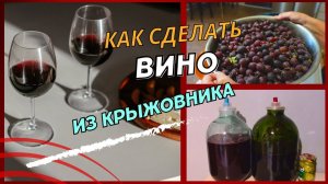 Как я делаю вкуснейшее вино из крыжовника @SubTatiana