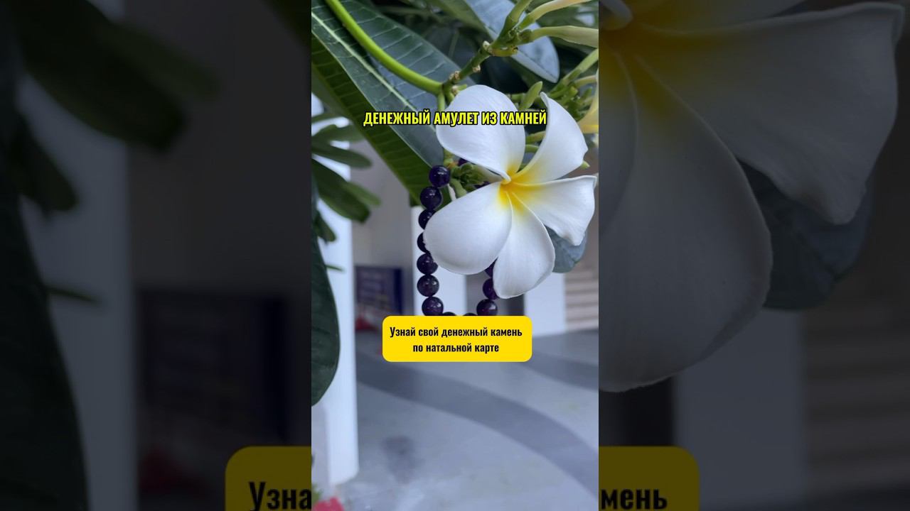 Какой Ваш денежный камень. Читай описание. смотреть онлайн