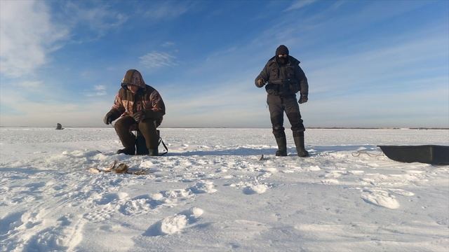 Первый Лёд. Супер ОКУНЬ. Декабрь 2022 года. Костанайская область, озеро Лебяжье. смотреть онлайн