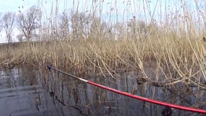 Рыбалка на карася.Боковой кивок.