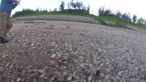 Река Оленёк, зачётный таймень,  трофей 12кг