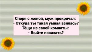 Откуда ты Такая Умная Взялась??? Веселый анекдот дня.