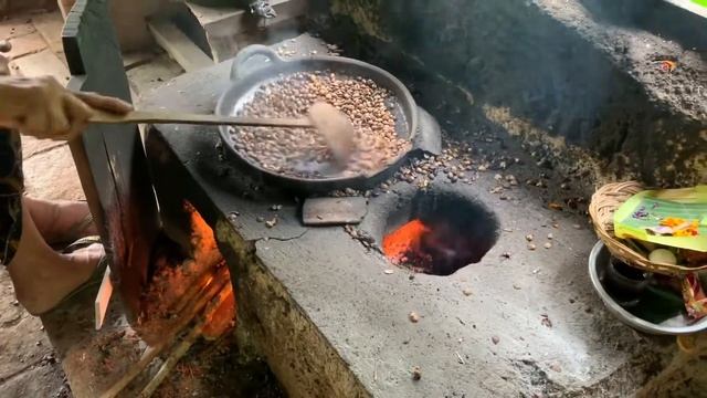 Кофейная плантация на Бали и дегустация кофе Лувак