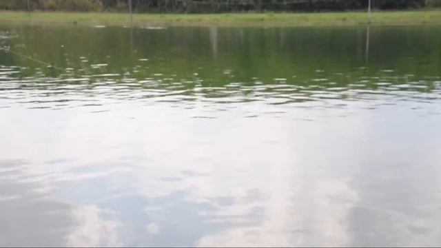 Рыбалка в Тайланде 2012г. смотреть онлайн