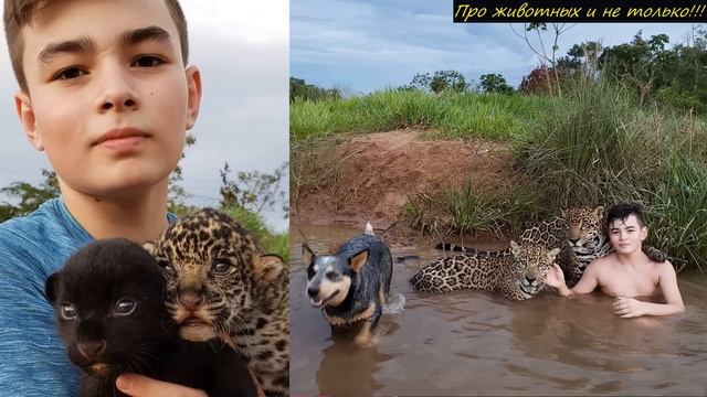 Это нашумевшее на весь мир ФОТО, навело шорох! И вот почему! смотреть онлайн