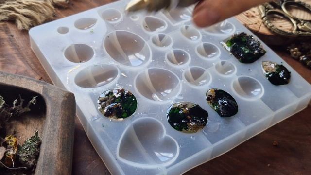 Заливаем лишайники смолой. Как создать уникальные лесные украшения своими руками смотреть онлайн