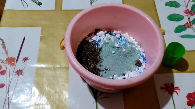 Как из чего приготовить замазку для лечения плодовых деревьев. смотреть онлайн