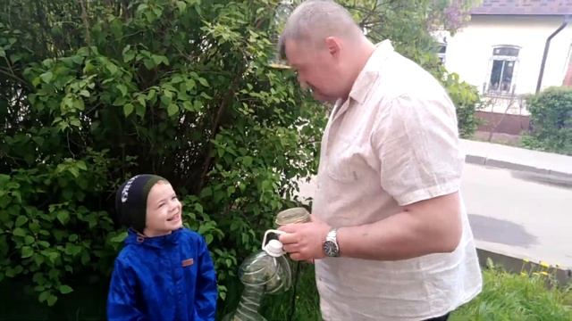 Кормушка для птиц смотреть онлайн