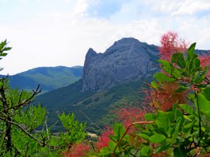 Вид с цветущей лесой поляны на гору Парсук-Кая (Носорог).