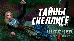 Ведьмак 3 | 11 Интересных Деталей, Которые Легко Пропустить на Скеллиге - часть 2